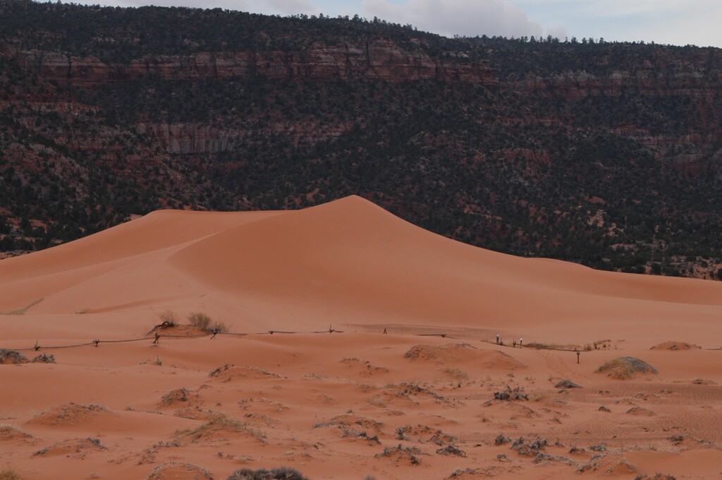 (The Salt Lake Tribune) A teenage boy from southern Utah is dead after a sand dune collapsed on top of him last weekend at Coral Pink Sand Dunes State Park, near Kanab, Utah, officials said.