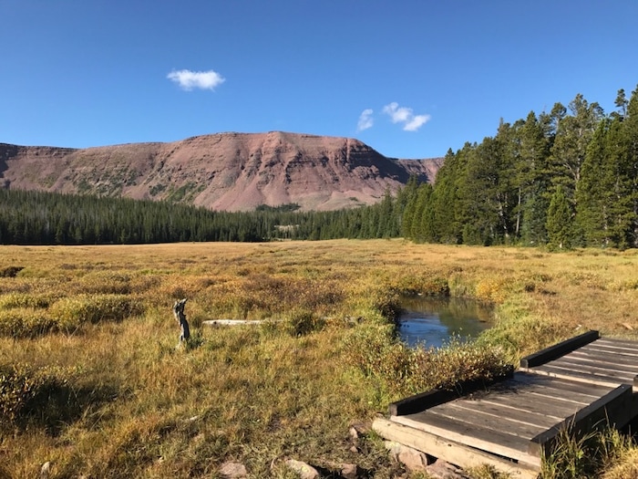 A meadow sits on the trail to Tamarack and Jessen lakes on Sept. 11, 2017.