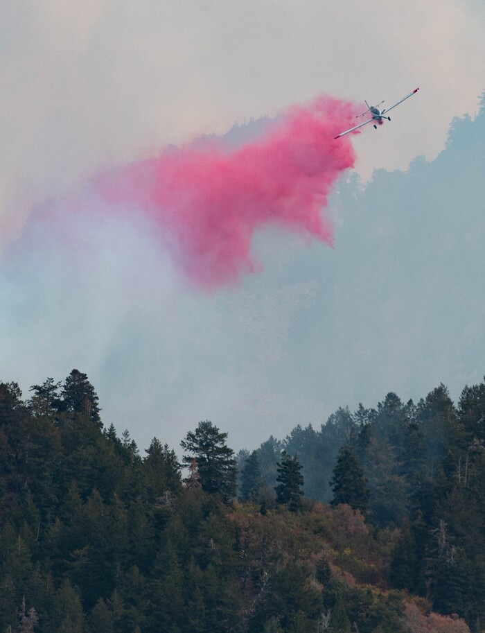 (Francisco Kjolseth  |  The Salt Lake Tribune) Air crews battle a fire in Neffs Canyon on the north side of Mount Olympus on Tuesday, Sept, 22, 2020.