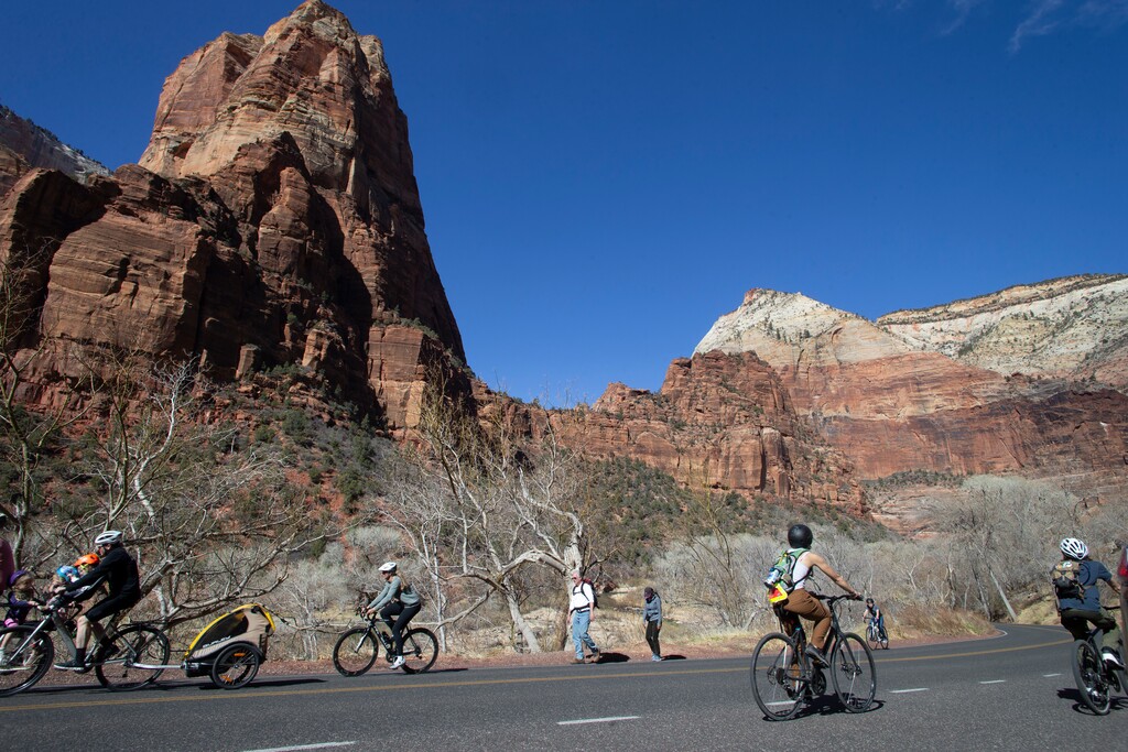 (Chris Caldwell | Special to The Tribune) Zion National Park visitors biking and walking through the park, Saturday, March 1, 2025.