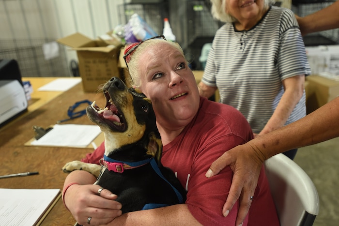 Best Friends Animal Society staff members and volunteers help rescue and reunite pets with people in the aftermath of Hurricane Harvey. Courtesy | Best Friends Animal Society.