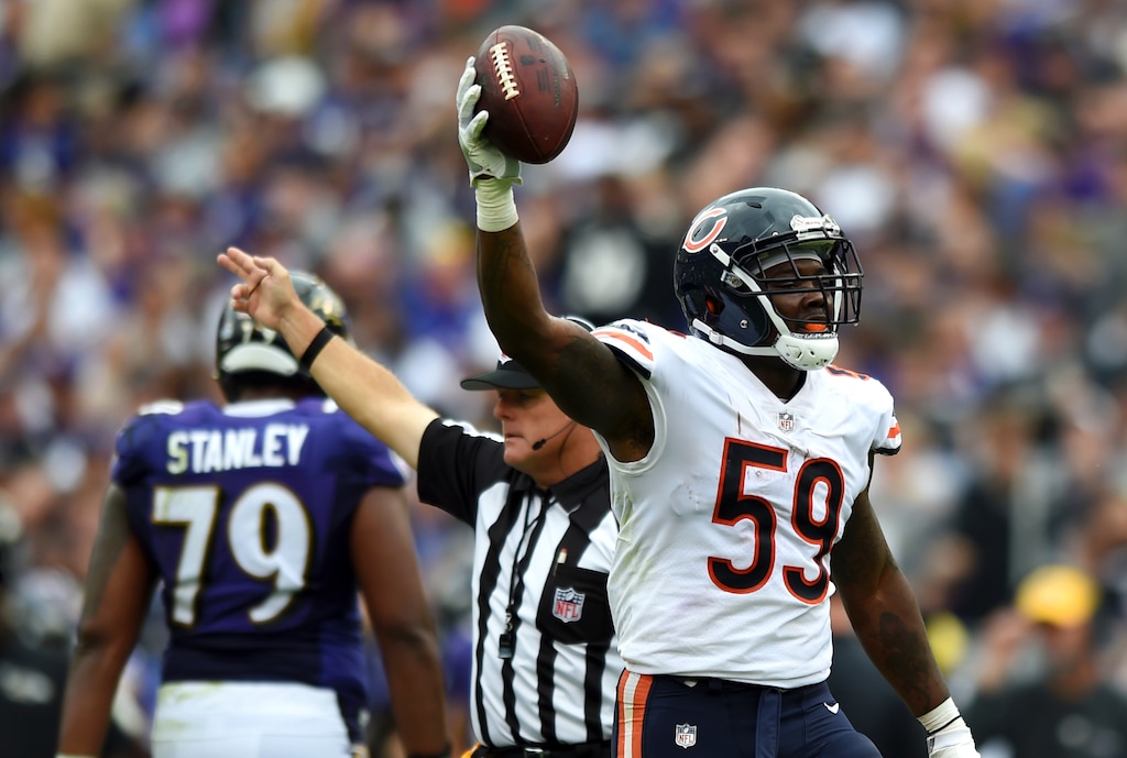Chicago Bears inside linebacker Danny Trevathan celebrates after Chicago recovered a Baltimore Ravens fumble in the first half of an NFL football game, Sunday, Oct. 15, 2017, in Baltimore. (AP Photo/Gail Burton)
