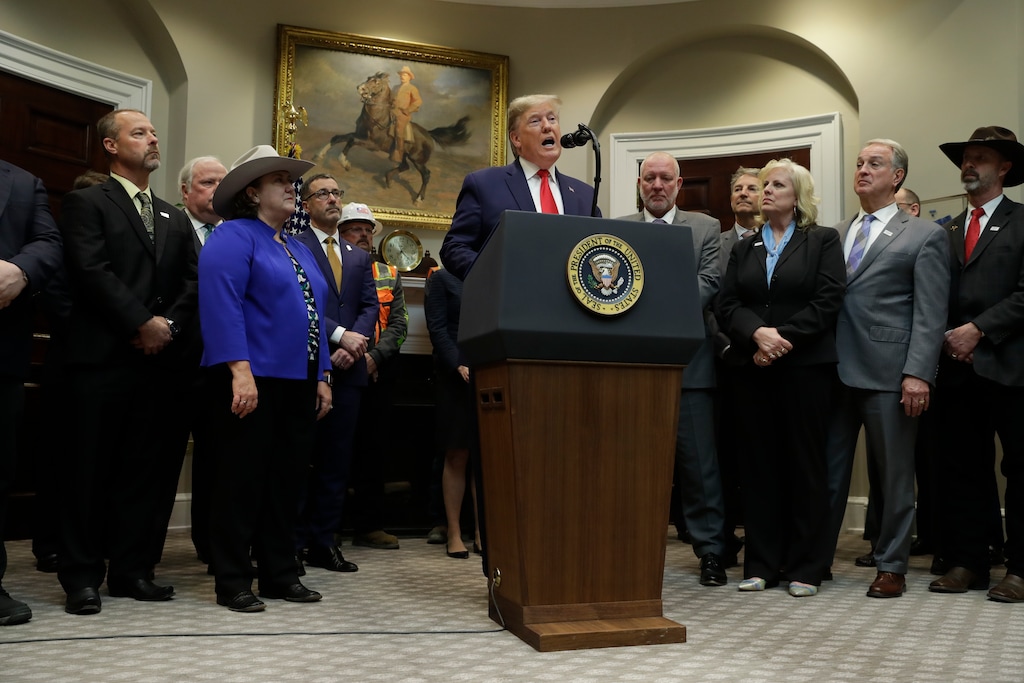 (Evan Vucci | AP) President Donald Trump delivers remarks on proposed changes to the National Environmental Policy Act, at the White House, Thursday, Jan. 9, 2020, in Washington.