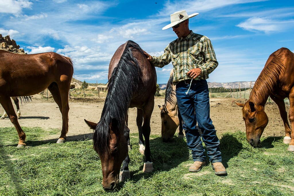 (Chris Detrick  | Tribune file photo)  Dave Treanor works with his horses in Escalante Wednesday July 29, 2015.  Erin and Dave Treanor own Rising DT Ranch Horse Tours, providing horseback tours around Utah’s Grand Staircase National Monument. A new Utah State University study says landscape-sized national monuments such as Bears Ears and Grand Staircase Escalante have a nuanced economic effect on nearby communities that is neither "boon nor bane."