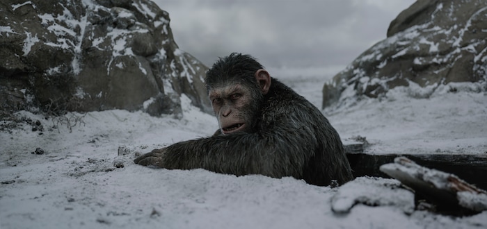 |  20th Century Fox


Caesar (performed by Andy Serkis) must lead his followers away from human danger in the action thriller "War for the Planet of the Apes." The Utah Film Critics Association gave Serkis the award for lead actor, male, in a meeting Dec. 17, 2017.