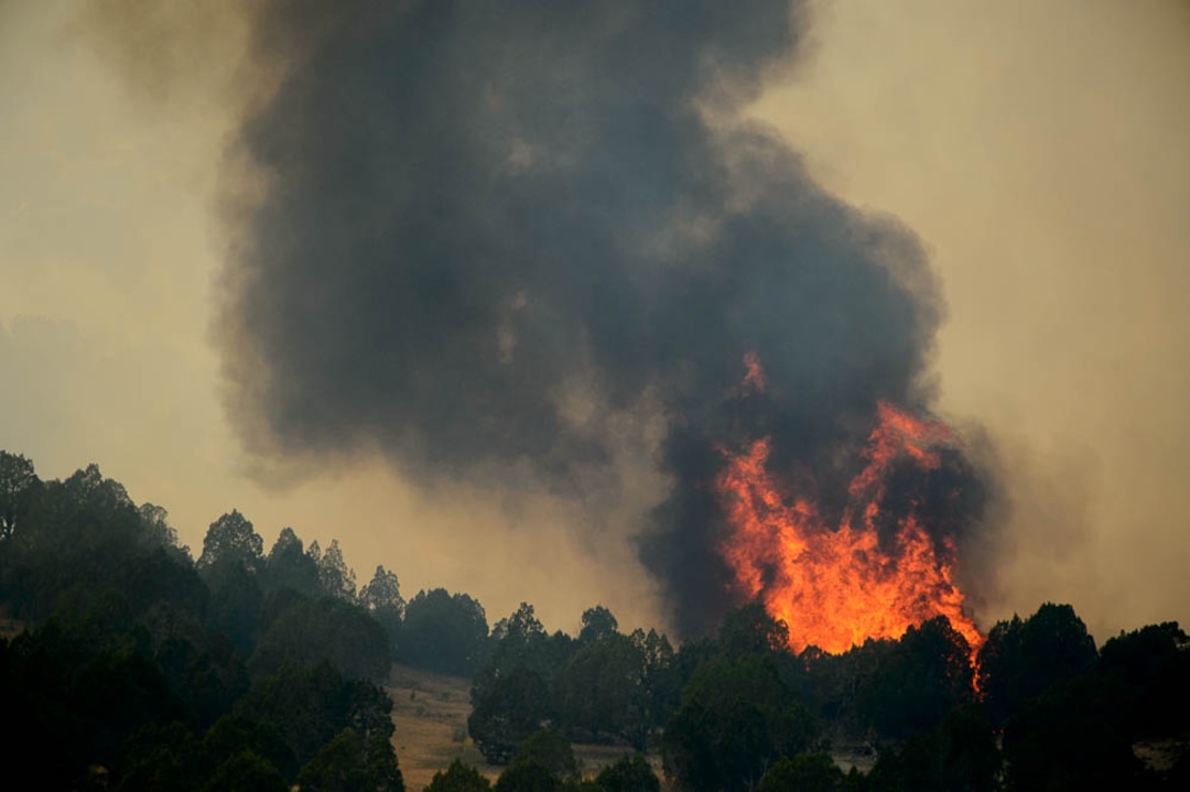 (Trent Nelson | The Salt Lake Tribune) The Coal Hollow Fire burns along Highway 6 in Utah County, Thursday Aug. 9, 2018.
