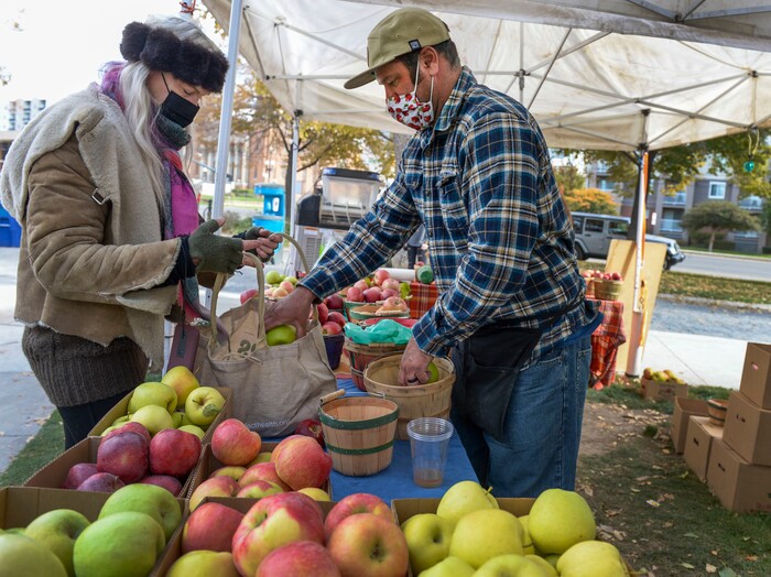 (Leah Hogsten  |  The Salt Lake Tribune) Kent Pyne with Pyne Farms in Santaquin places apples in chef Claire Nelson's shopping bag on the final day of the Salt Lake City Farmer's Market, Oct. 24, 2020.