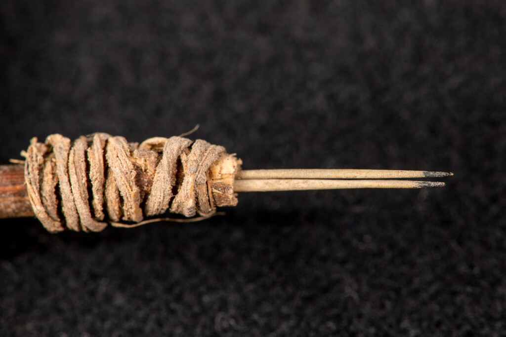 (Andrew Gillreath-Brown | Courtesy of Washington State University) A tattoo needle that's nearly 2,000 years old — made of cactus spines, yucca leaves and a stick of sumac — was recently discovered among artifacts unearthed in Utah's Bears Ears region by Andrew Gillreath-Brown, a Washington State University archaeology doctoral candidate.