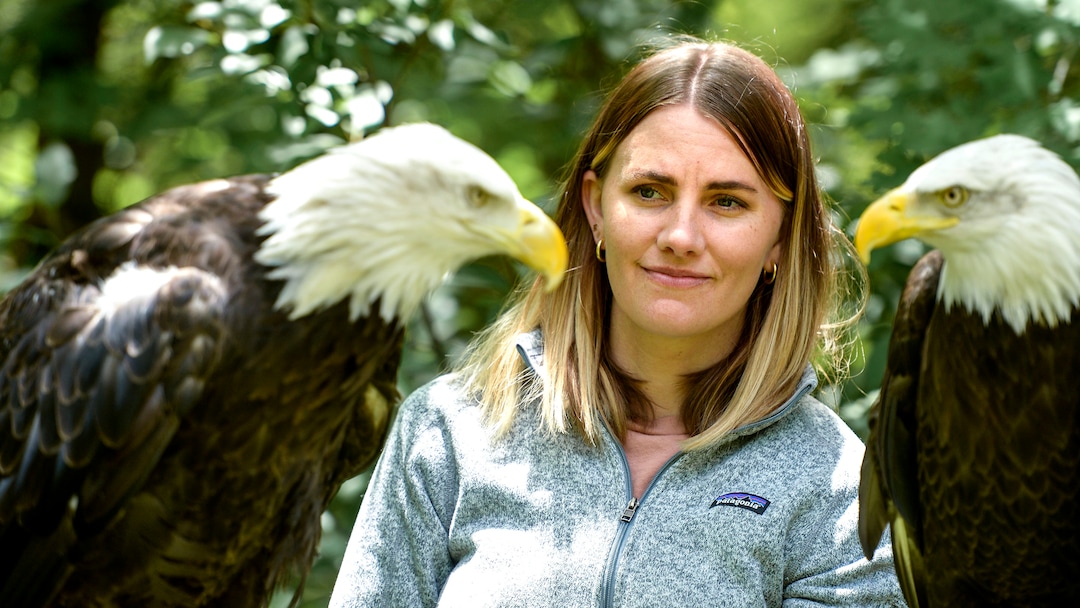 (Leah Hogsten  |  The Salt Lake Tribune) Jena Beckstead looks toward Liberty, a 34-year-old bald eagle, while holding Freedom, a male bald eagle, June 17, 2020. Beckstead has been around birds all her life and began volunteering for her father, Steve Chindgren, when she was 7.