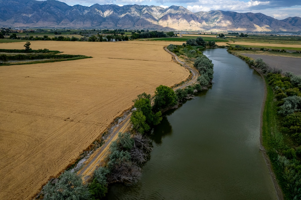 (Trent Nelson  |  The Salt Lake Tribune) The Bear River near Corinne on Friday, July 18, 2025.