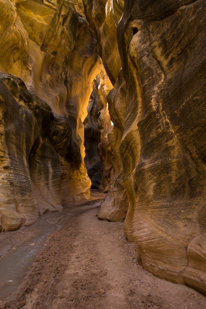 (photo courtesy Manny Mellor) Willis Creek in the Grand Staircase-Escalante National Monument.