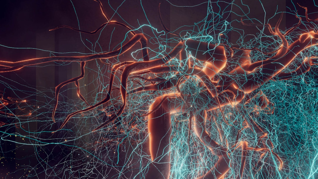 (Image courtesy of Sundance Institute) An image from "Hypha," by Natalia Cabrera, an official selection of the New Frontier Exhibitions program at the 2020 Sundance Film Festival.
