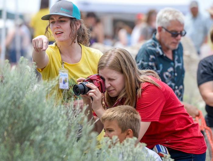 (Leah Hogsten | The Salt Lake Tribune) Lisa Ryther, right, snaps pictures of spiders while on a nature walk with naturalist and volunteer Jessica DeJong, left, at the Antelope Island Spider Fest 2019 at Antelope Island State Park, August 3, 2019. Spider Fest featured a day full of spider-themed presentations, crafts, guided walks, citizen science, poetry, photography, art and educational presentations about the arachnids on the island.