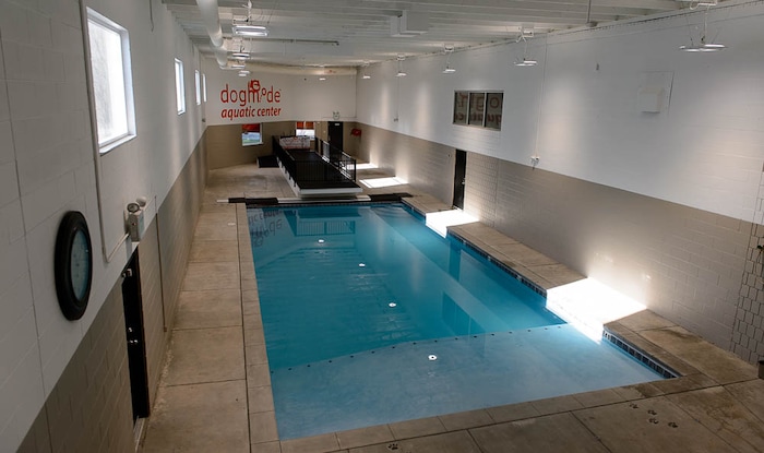 (Trent Nelson | The Salt Lake Tribune) The new Aquatic Fitness Center at DogMode in Salt Lake City on Tuesday, Nov. 28, 2017.