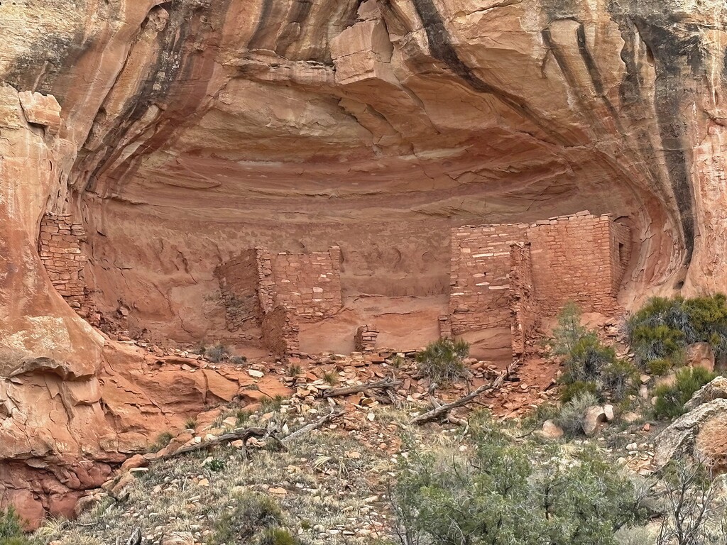 Canyon of the Ancients, BLM land, near Cortez Colorado, (photo by Dave Marston)