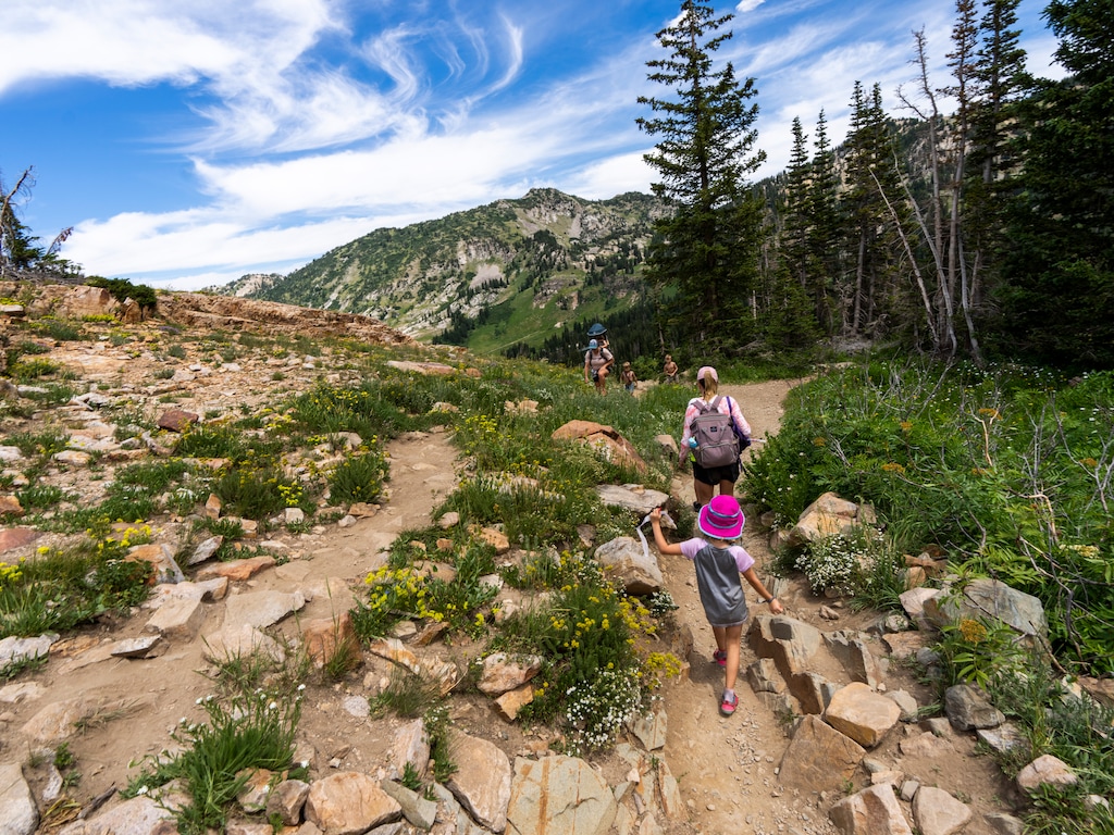 (Rick Egan | The Salt Lake Tribune)  Hikers walk along the Cecret Lake trail, in the Albion Basin, on Wednesday, July 27, 2022. The trail is located on federal land managed by the U.S. Forest Service, and part of the public lands where Utah would like assert more control. 

