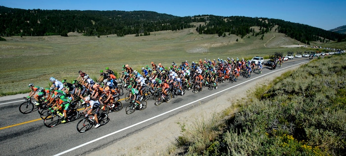 Steve Griffin  |  The Salt Lake TribuneThe peloton climbs up Logan Canyon during Stage 1 of the Tour of Utah bicycle race from Logan around Bear Lake and back to Logan Monday July 31, 2017.