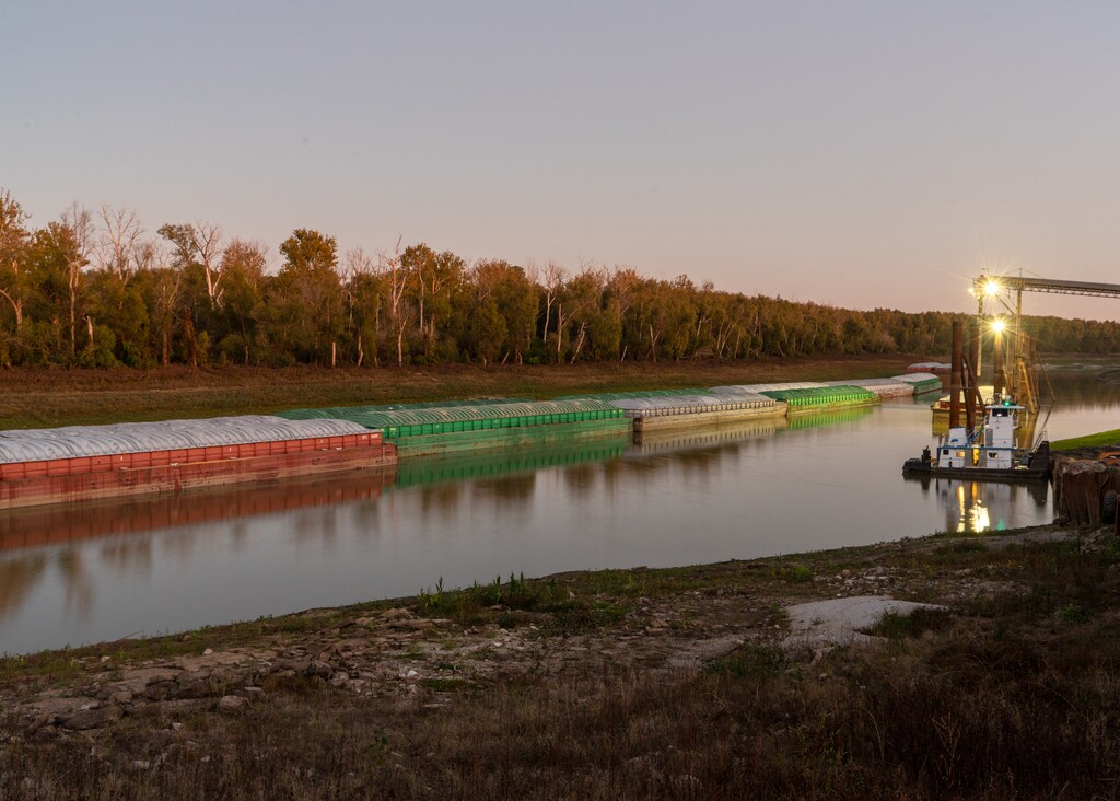 (Trent Bozeman for The New York Times)
Barges along a parched section of the Mississippi River outside of Lake Providence, La.