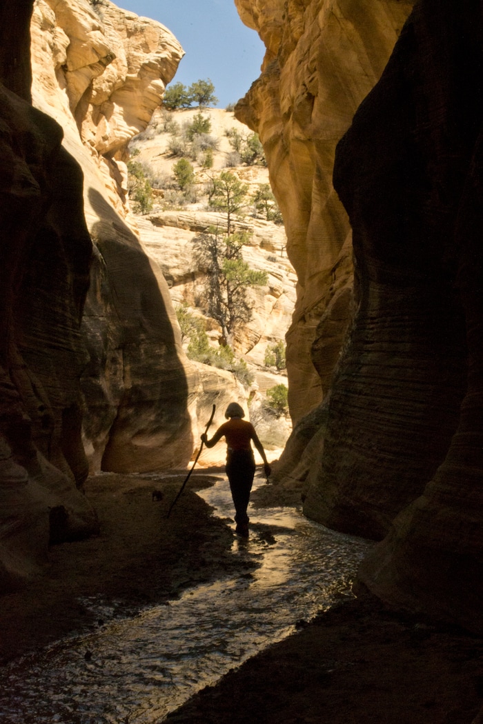 (photo courtesy Manny Mellor) Willis Creek in the Grand Staircase-Escalante National Monument.