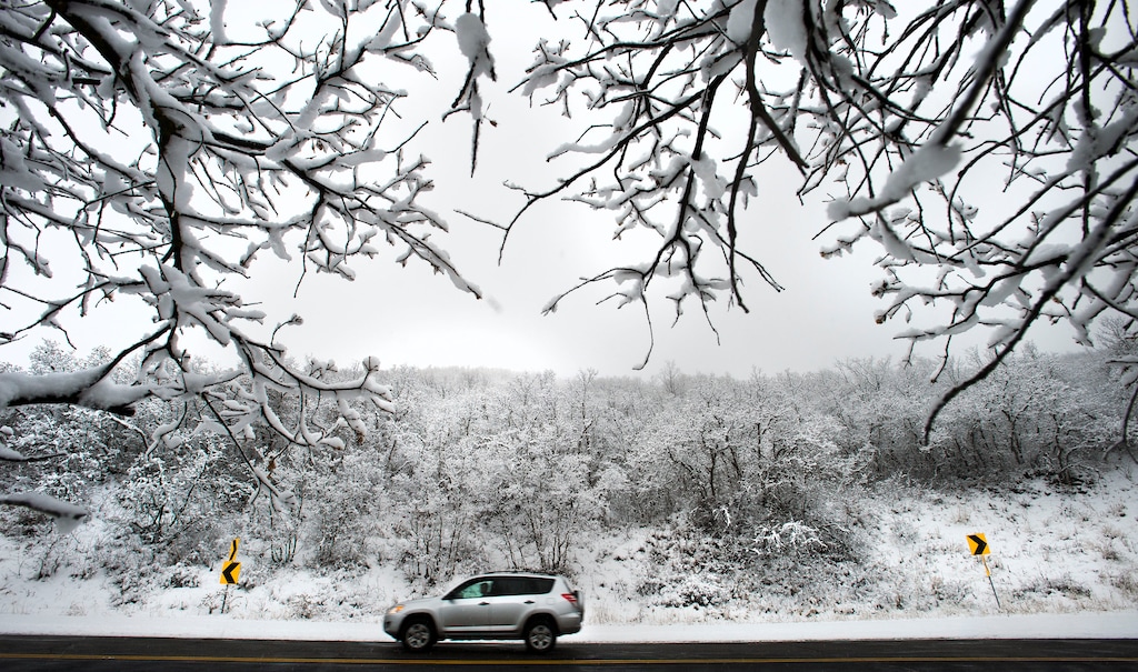 (Steve Griffin | Tribune file photo)
In this Nov. 10, 2015, file photo, snow clings to tree limbs in Emigration Canyon after a snowstorm blanketed the Wasatch Mountains. The Emigration Metro Township Planning Commission this week rejected a proposed development on 12 acres near the top of Pinecrest Canyon Road that would have included a wedding venue, shooting range and zip lines.
