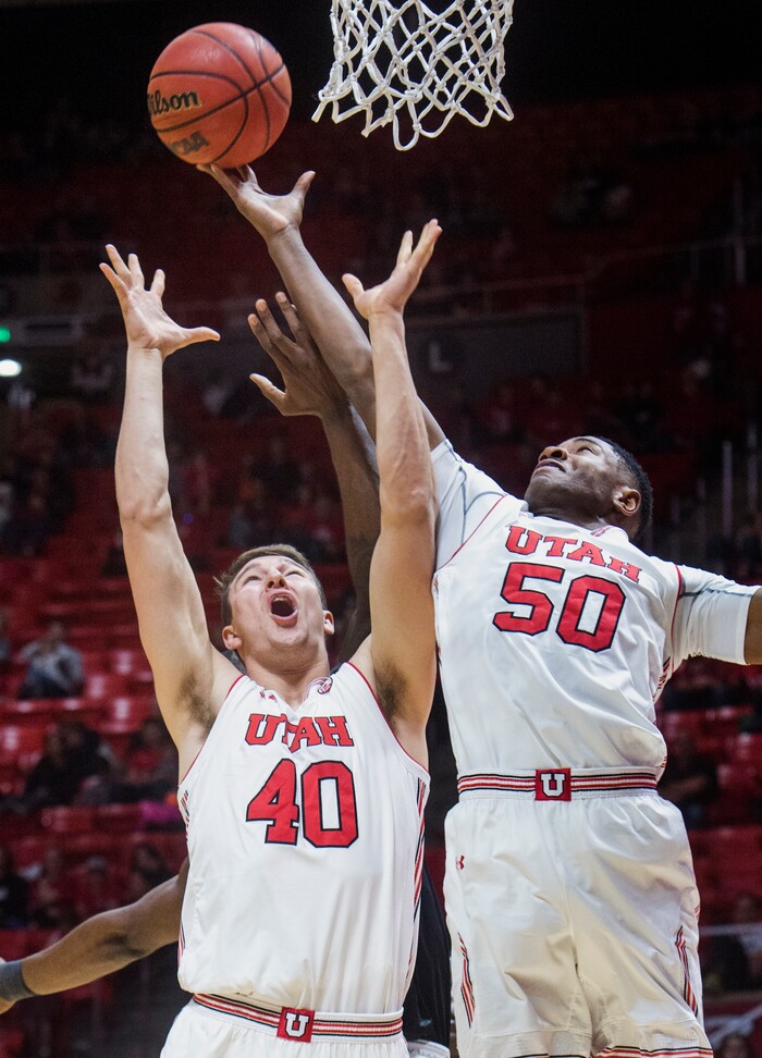 (Rick Egan  |  The Salt Lake Tribune) Utah Utes forward Marc Reininger (40) goes up for a reboot along with Utah Utes guard Christian Popoola (50), in basketball action, Utah Utes vs Hawaii Warriors, at the Jon M. Huntsman Center, Saturday, December 2, 2017.