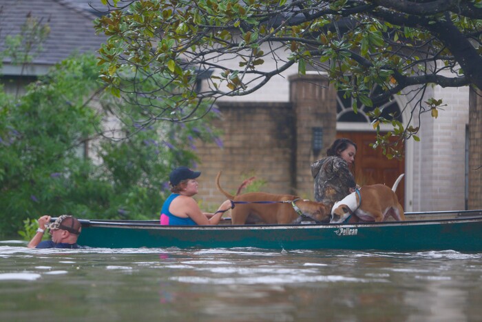 (Mark Mulligan | Houston Chronicle via AP) A family evacuates their Meyerland home in Houston, Sunday, Aug. 27, 2017.  Rescuers answered hundreds of calls for help Sunday as floodwaters from the remnants of Hurricane Harvey rose high enough to begin filling second-story homes, and authorities urged stranded families to seek refuge on their rooftops.