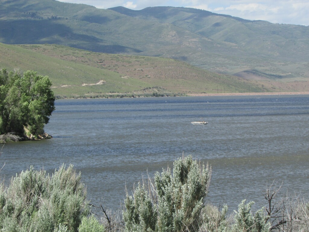 Tom Wharton | The Salt Lake Tribune
Rockport Reservoir has been offering good close-to-home fishing recently.