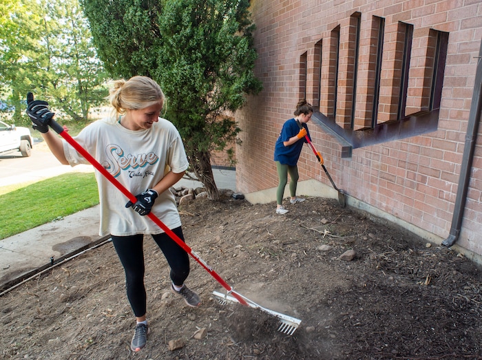 (Rick Egan  |  The Salt Lake Tribune)  Rebecca and Lizzie Ives from the LDS Highland Utah South Stake, help xeriscape the grounds of Congregation Koa Ami, on Wednesday, Aug. 5, 2020.