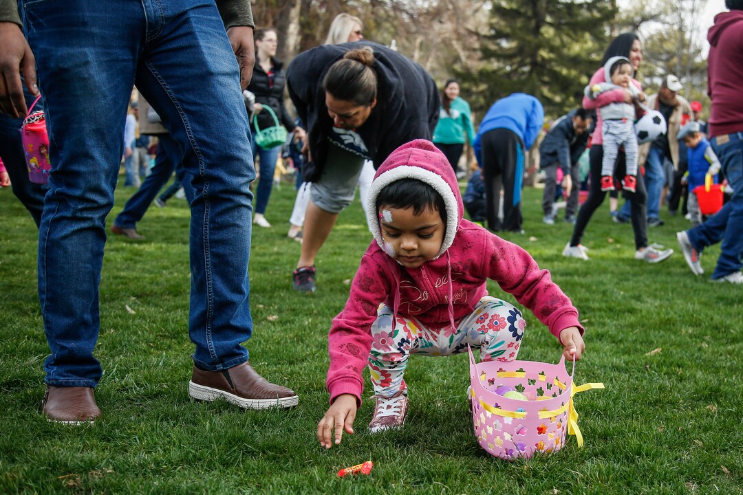 (Nicole Boliaux  |  For The Tribune)  Children and their families run to grab Easter eggs during the annual Easter egg hunt put on by A Kid's Place Dentistry in Liberty Park in Salt Lake City on Saturday, March 31, 2018.
