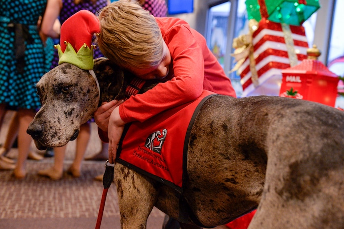 (Leah Hogsten | The Salt Lake Tribune) Luna, an Intermountain Theraphy Animal gets a hug from Ryker Hanson on Saturday. Ten Gold Star families from Salt Lake City were treated to a Winter Wonderland scene, including Whoville and the Grinch at their boarding gate at Salt Lake International Airport, Dec. 7, 2019 before their flight to Disney World aboard the Snowball Express. This month, the Gary Sinise Foundation's Snowball Express will fly more than 1,700 family members of fallen U.S. military heroes to Disney World for a holiday retreat.