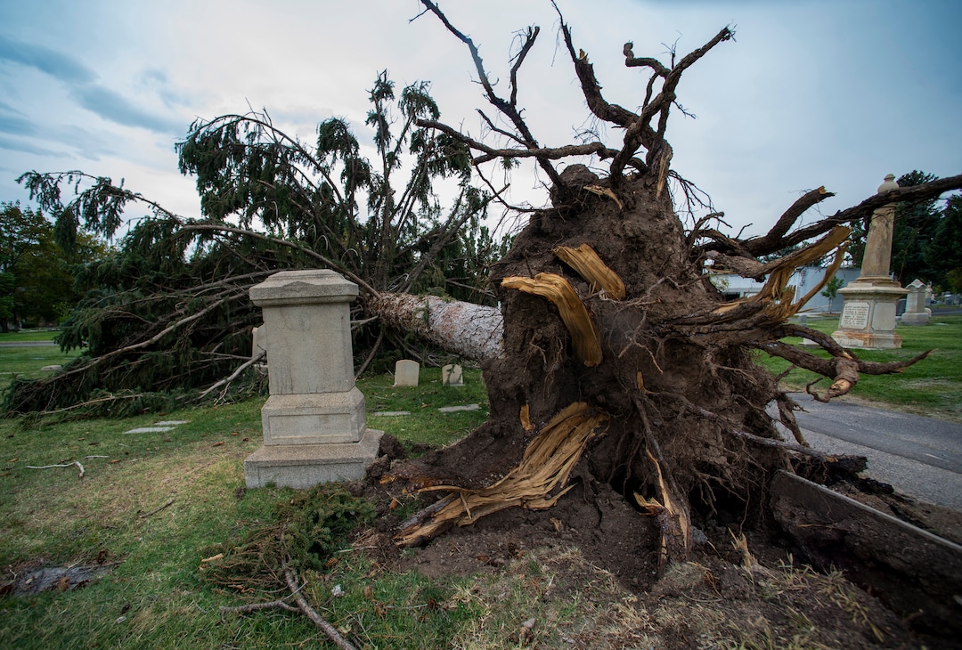 (Rick Egan  |  The Salt Lake Tribune)    Hundreds of headstones in the Salt Lake City Cemetery were damages in the recent wind storm, Friday, Sept. 18, 2020.