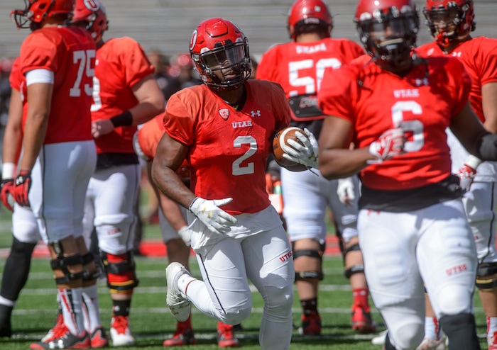 (Steve Griffin  |  The Salt Lake Tribune) Utah running back Zach Moss runs the football during the University of Utah football team's first scrimmage at Rice-Eccles Stadium in Salt Lake City Friday March 30, 2018.