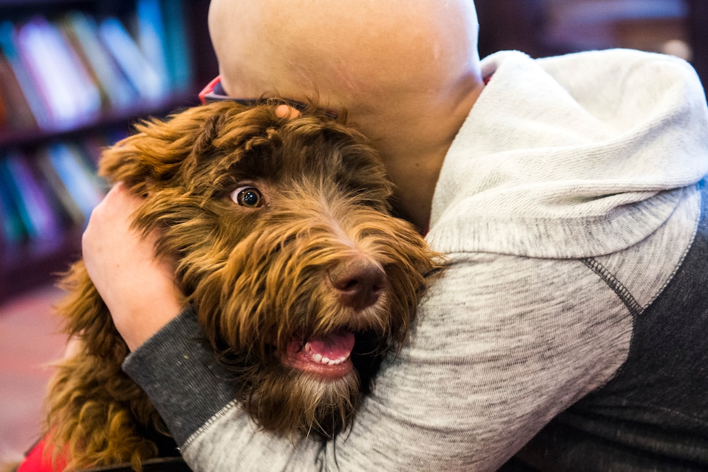 Chris Detrick  |  The Salt Lake Tribune
Jake Bradford, 12, hugs Chief PAWSitivity Officer Ollie at the Ronald McDonald House Wednesday May 25, 2016. Ollie is a certified facility therapy dog.