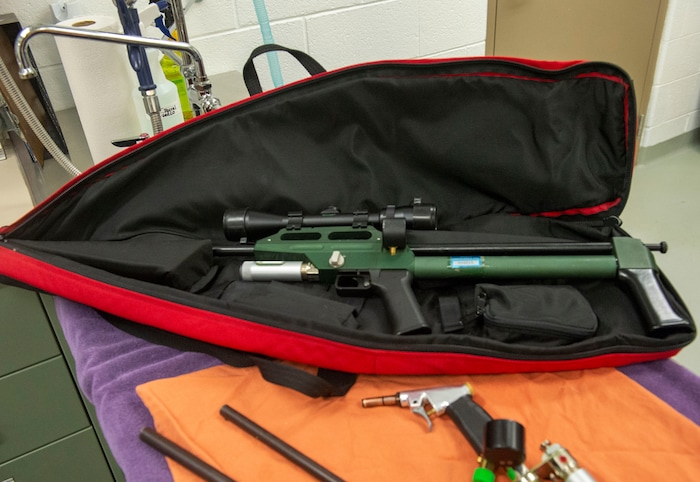 (Rick Egan  |  The Salt Lake Tribune)   Angelina Kirkessner gives a tour of the  tour of the Hogle Zoo's Animal Health Center.
Saturday, March 16, 2019.


