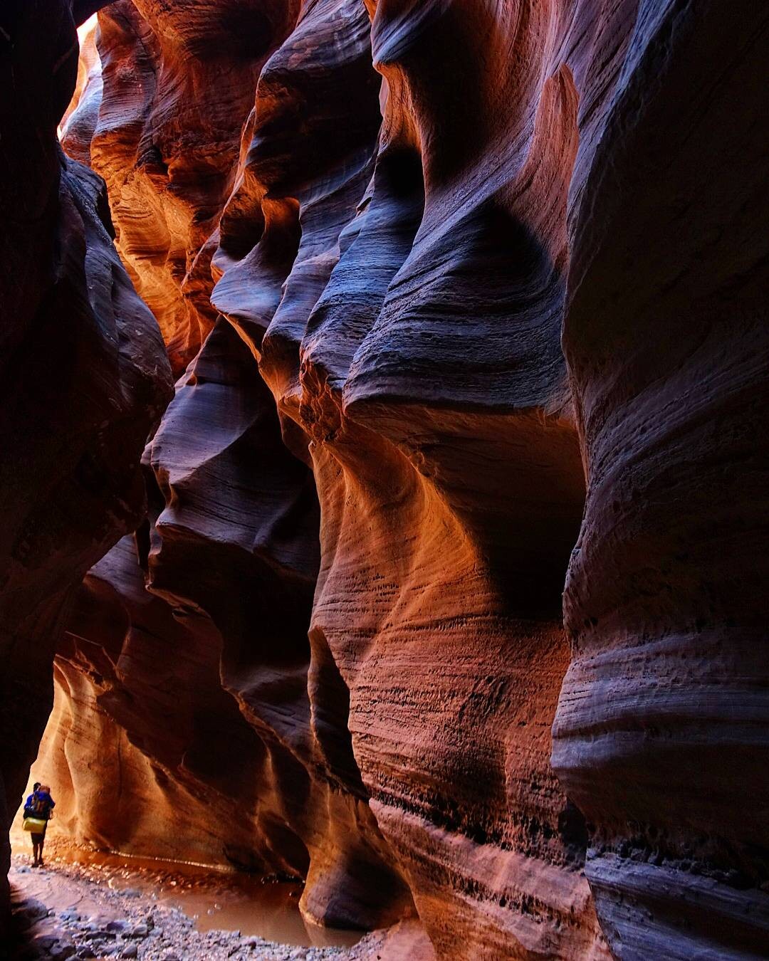 (Tribune File Photo)  Sunlight peeks into the narrows of Buckskin Gulch on Sunday, Sept. 25, 2016.