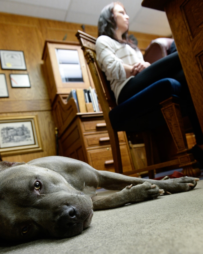(Francisco Kjolseth | The Salt Lake Tribune) Kiersten Pyke, 26, is joined by her emotional support dog named Diesel and her attorney Bob Sykes on Monday, May 7, 2018, in Salt Lake City to talk about their filed case in state court involving serious sexual abuse against actor Tom Sizemore. In 2003, when Kiersten was an 11-year-old child actress, she was costarring in a movie filmed in Utah where Sizemore played her father. While she was on the set during scenes, Sizemore allegedly abused the young girl.