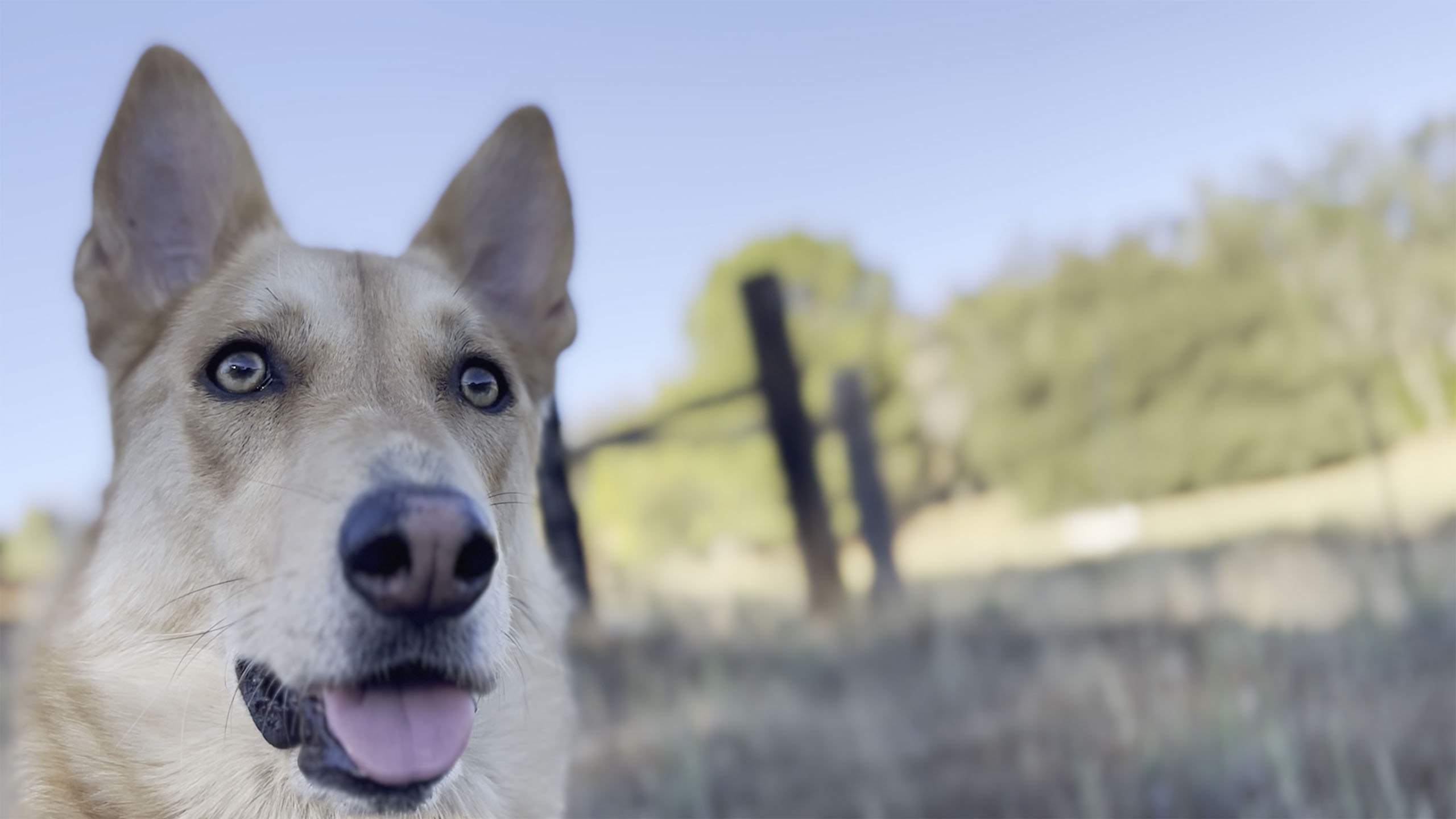 (Sundance Institute) An image from director Fox Maxy's "Gush," an official selection of the New Frontier section at the 2023 Sundance Film Festival.