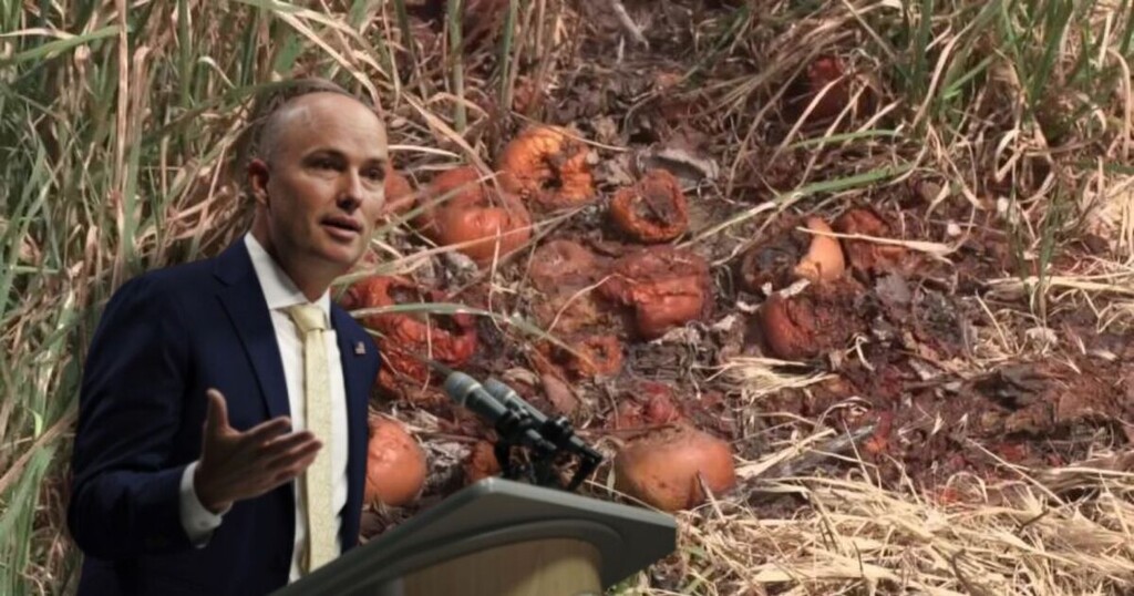 (Fox 13) Governor Spencer Cox has declared a state of emergency for crop losses due to recent freezing.