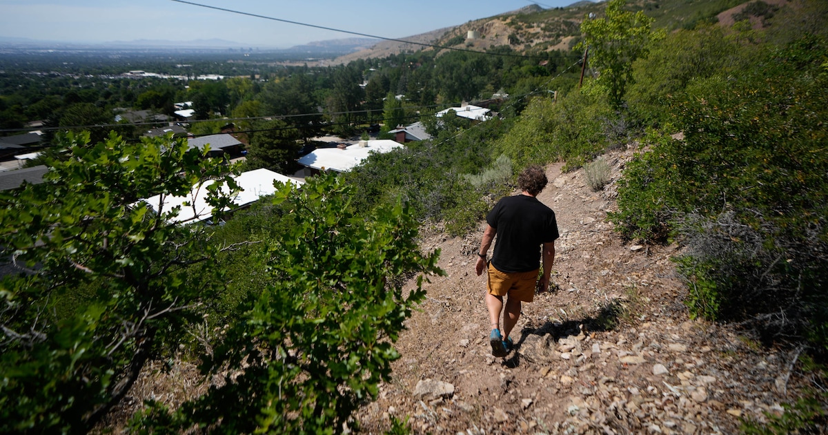 Utah's going to score homes for wildfire risk. Here's what homeowners need to know.
