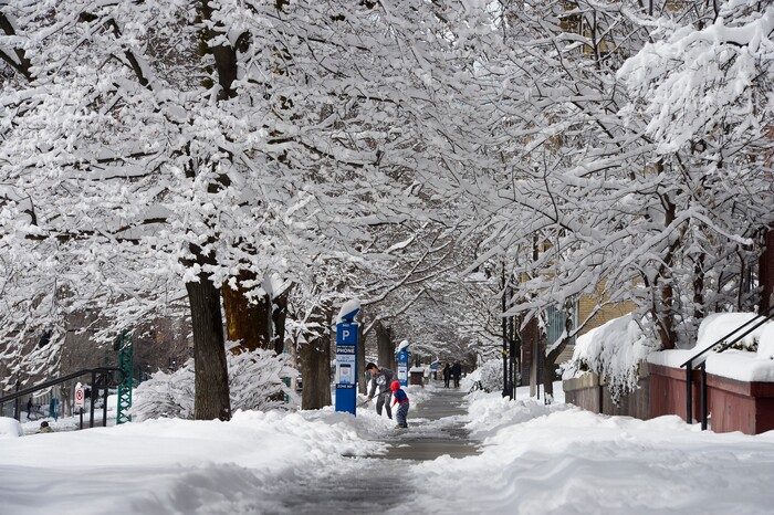 Scott Sommerdorf | The Salt Lake TribuneTwo young boys work to shovel the sidewalk off South Temple in Salt Lake City after an overnight snowstorm, Sunday, March 4, 2018.