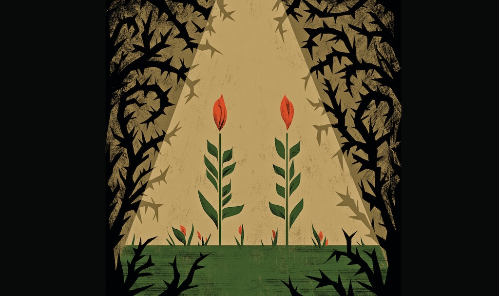 BC-OPINION-LIPSTADT-FIGHT-ANTISEMITISM-ART-NYTSF — Want to Fight Antisemitism? Embrace Jewish Traditions. (Chloe Cushman for The New York Times) — ONLY FOR USE WITH ARTICLE SLUGGED — BC-OPINION-LIPSTADT-FIGHT-ANTISEMITISM-ART-NYTSF — OTHER USE PROHIBITED.