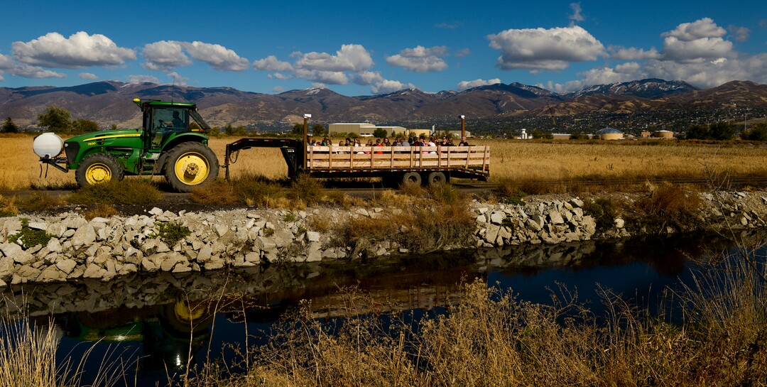 Leah Hogsten  |  The Salt Lake Tribune  Visitors tour the cattle farm via hay rides during the 2018 Fall Festival at Cross E Ranch in Salt Lake City, Thursday Oct. 18, 2018. 