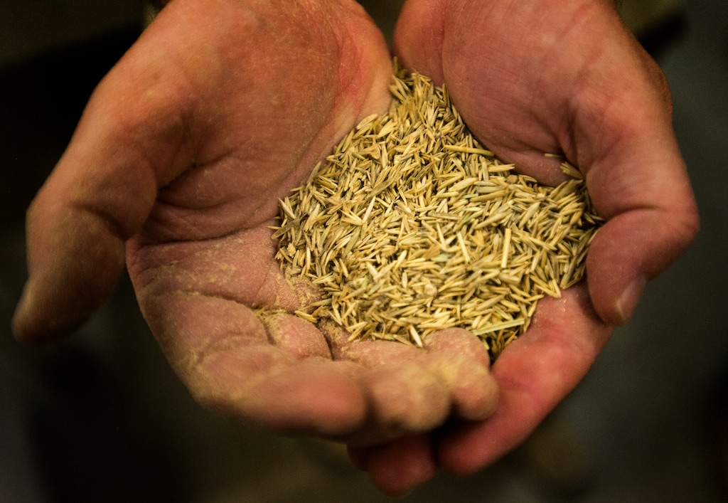 (Rick Egan  |  The Salt Lake Tribune)  Mixed seeds ready to ship, from the Utah DWR's Great Basin Research Center in Ephraim for various rehabilitation projects such as the reseeding of the Brian Head burn, Wednesday, November 8, 2017.