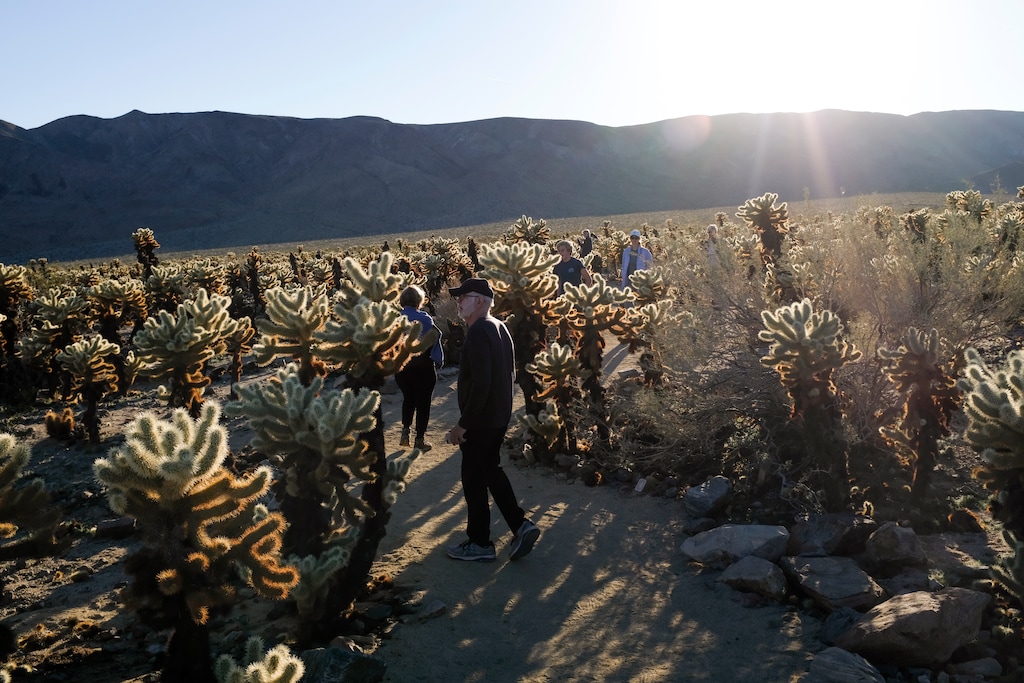 (Stuart W. Palley | The Washington Post) Large groups continued to pour into Joshua Tree National Park in California on Sunday despite the federal government's partial shutdown. Park officials kept the gates to the park open over the holiday weekend, allowing visitors to enter without paying $30 per-vehicle entrance fee.
