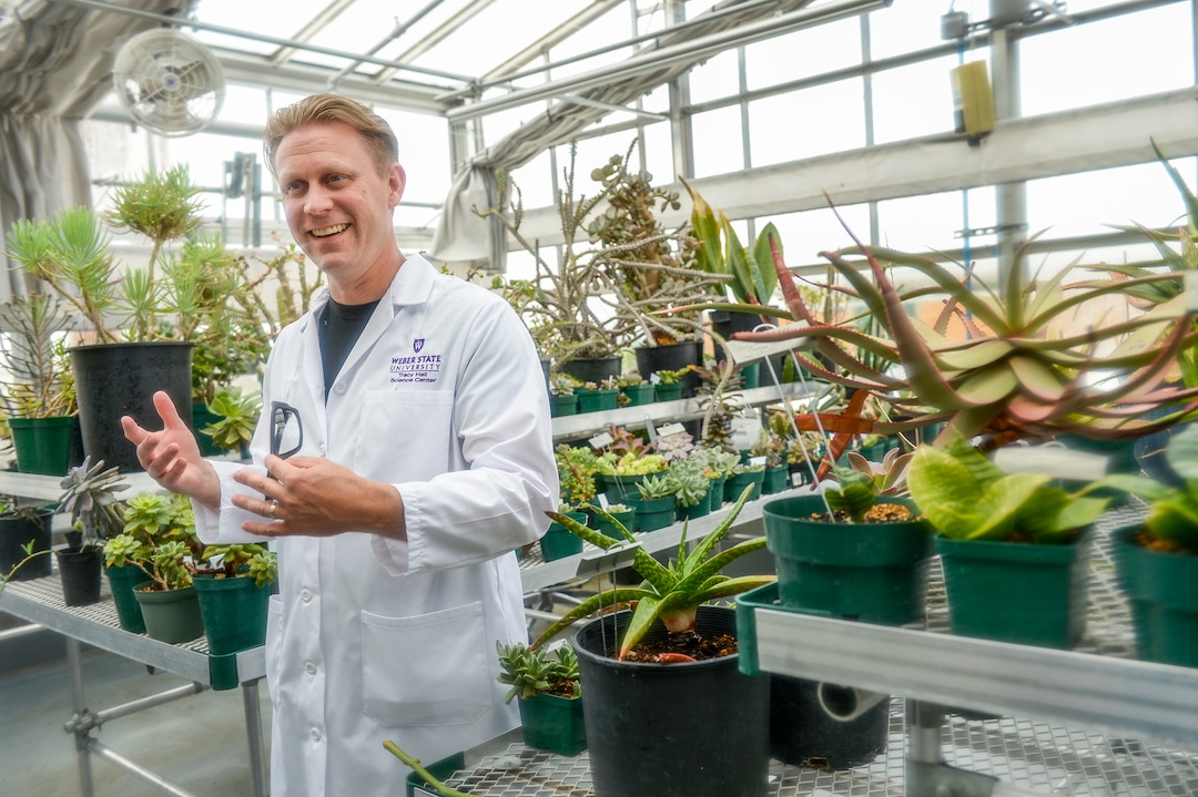 (Leah Hogsten  |  The Salt Lake Tribune) Jeff Colbert, a graduate student at Weber State University, has a special permit to grow and study hemp plants.