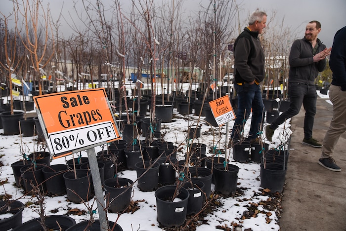 (Francisco Kjolseth  |  The Salt Lake Tribune)  Wednesday marks the official last day of business for Wasatch Shadows garden and landscape center in Sandy. After 42 years, owners, Loren and Debbie Nielsen, are retiring. They have sold the 10 acre plot, just west of the Real Soccer Stadium, to Sandy City for future development.