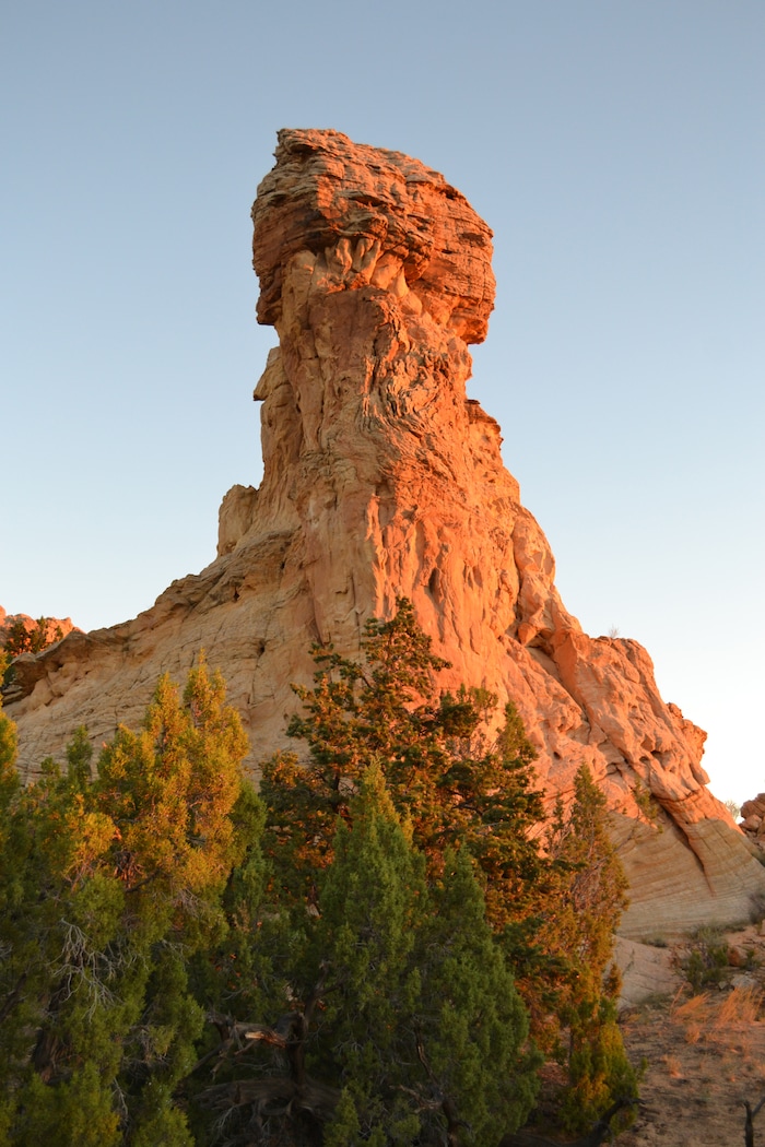 (photo courtesy Manny Mellor) Spencer Flat in the Grand Staircase-Escalante National Monument.