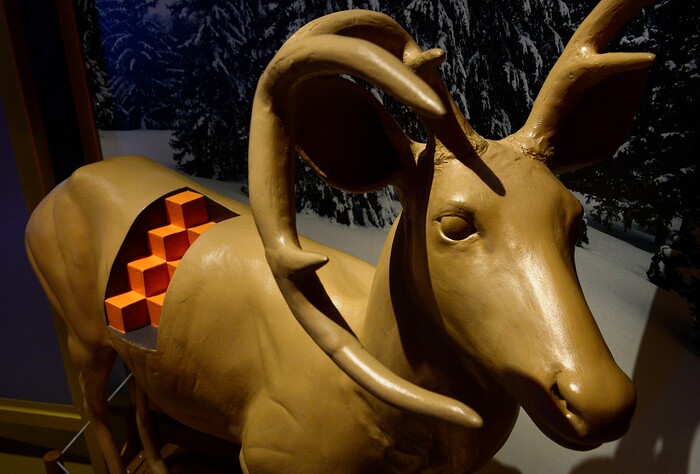 (Scott Sommerdorf | The Salt Lake Tribune) A display examining the ways animals of different sizes maintain their body temperature at the Utah Museum of Natural History, Wednesday, Feb., 7, 2018. It's part of "Nature's Ultimate Machines," the UMNH special exhibition exploring the workings of plants and animals and how they rely on finely-tuned natural devices to move, adapt and survive.