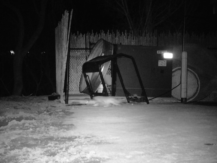 (Photo courtesy of Hogle Zoo) Mushu the Pallas' cat is caught on surveillance footage at Hogle Zoo after he escaped from his habitat area on Sunday, Jan. 28, 2018.