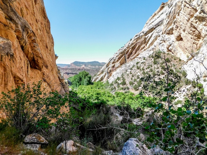 Erin Alberty  |  The Salt Lake TribuneThe walls of Box Canyon cast a mid-day shadow May 29, 2017 in Dinosaur National Monument.